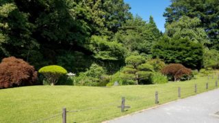 菅刈公園の和館の庭園