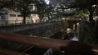 夜の目黒川