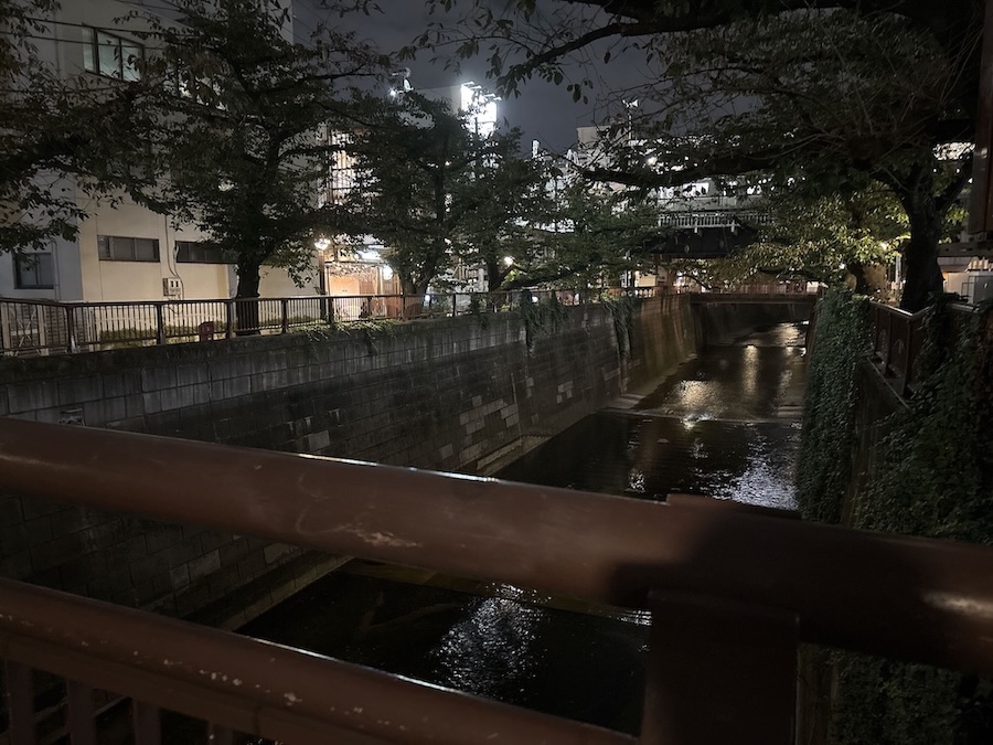 夜の目黒川