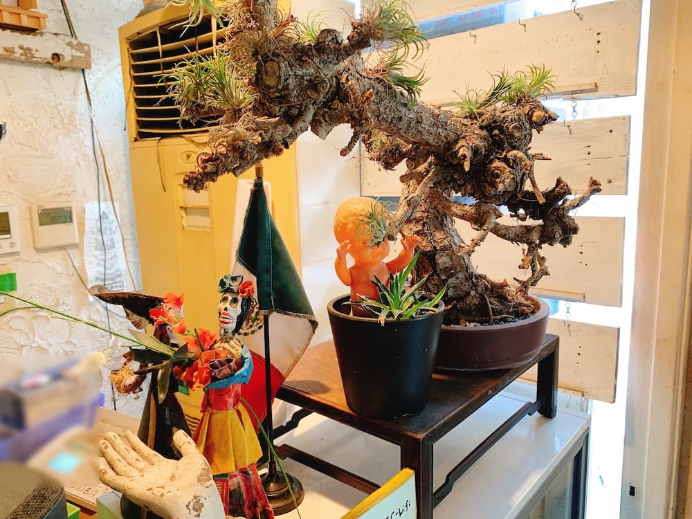 ジャンカデリックレジ